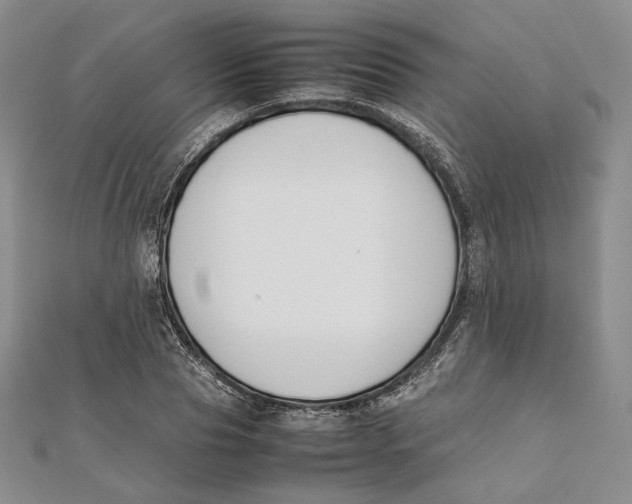 X0000112050929200909010939