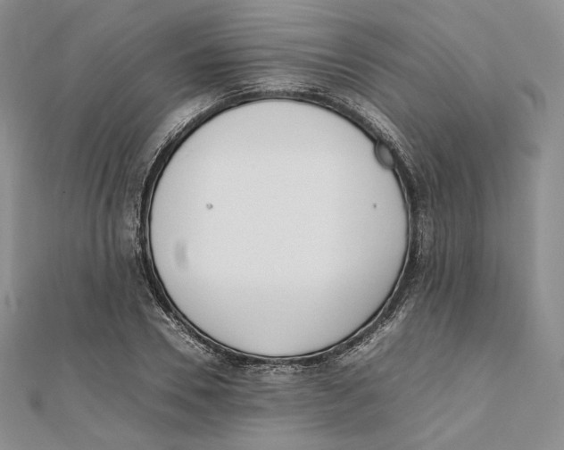 X0000112050930200909010939