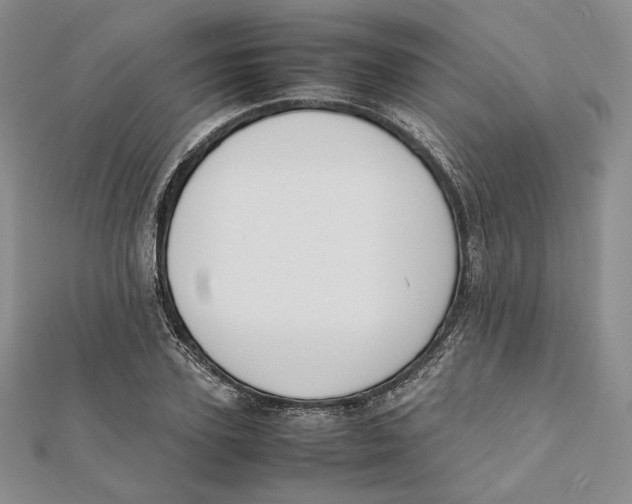 X0000112050931200909010939
