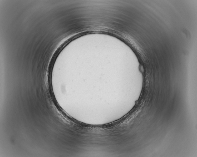 X0000112050932200909010939