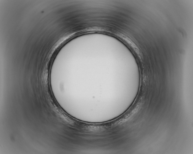 X0000112050933200909010939
