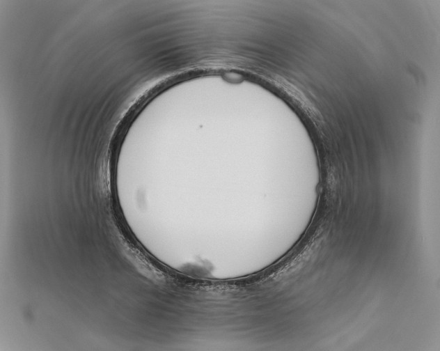 X0000112050934200909010939