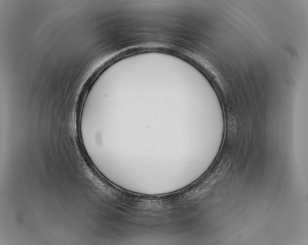 X0000112050935200909010939