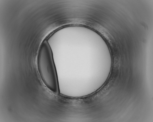 X0000112050936200909010939