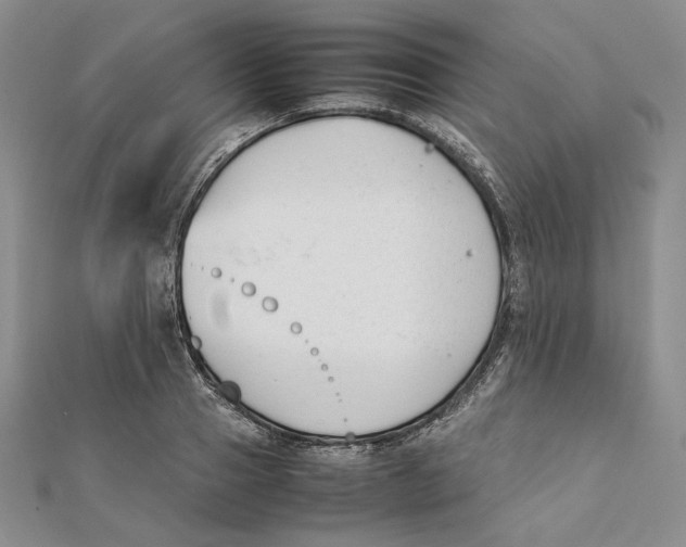 X0000112050937200909010939