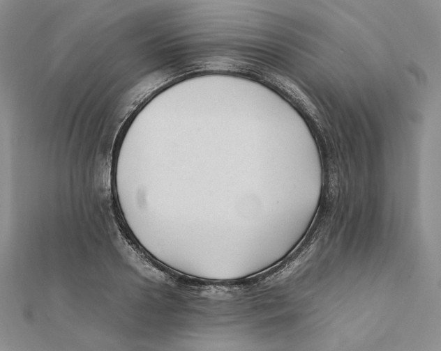 X0000112050938200909010939