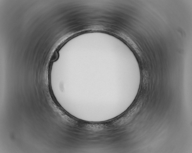 X0000112050939200909010939