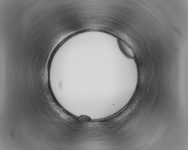 X0000112050940200909010939
