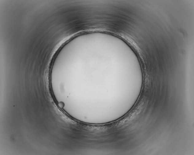 X0000112050941200909010939