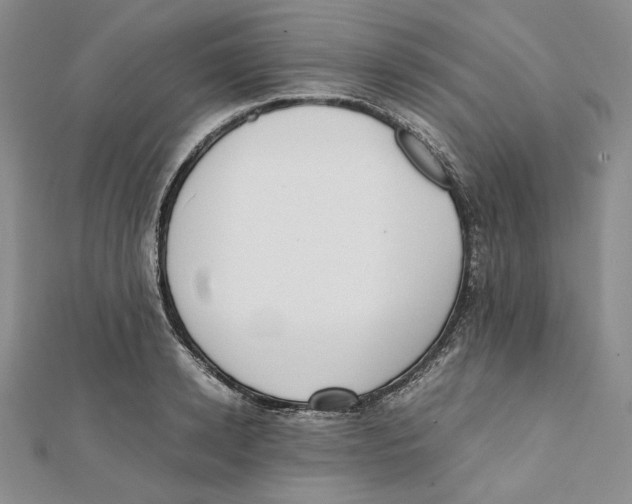 X0000112050942200909010939