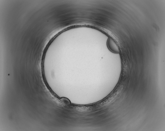 X0000112050943200909010939