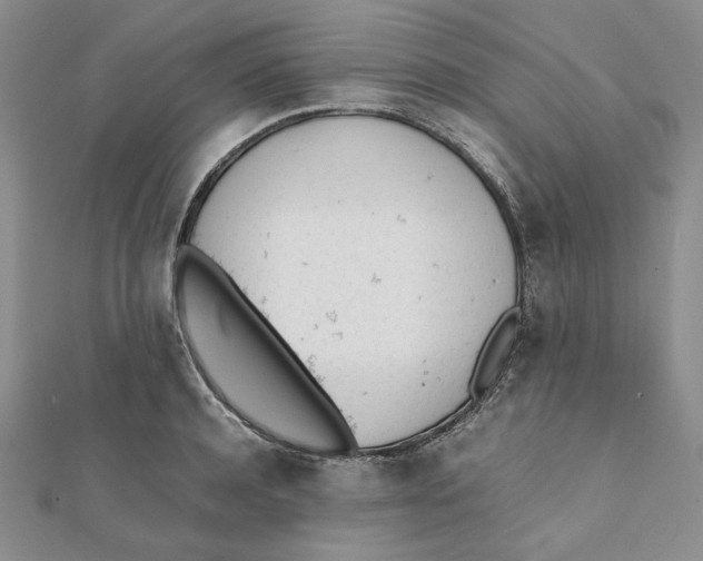 X0000112050944200909010939