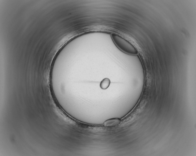 X0000112050946200909010939