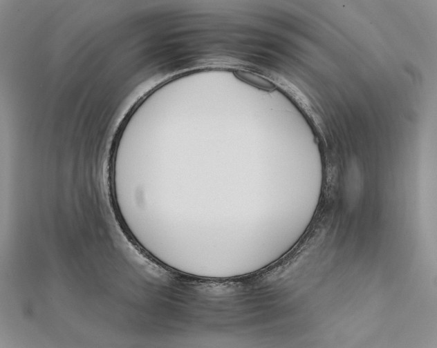 X0000112050947200909010939
