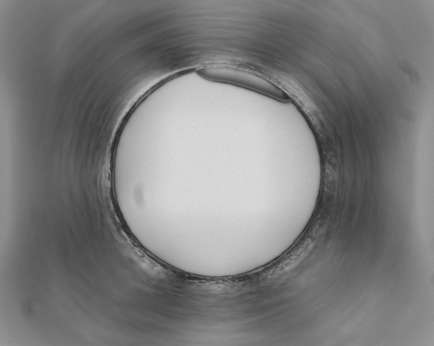 X0000112050948200909010939