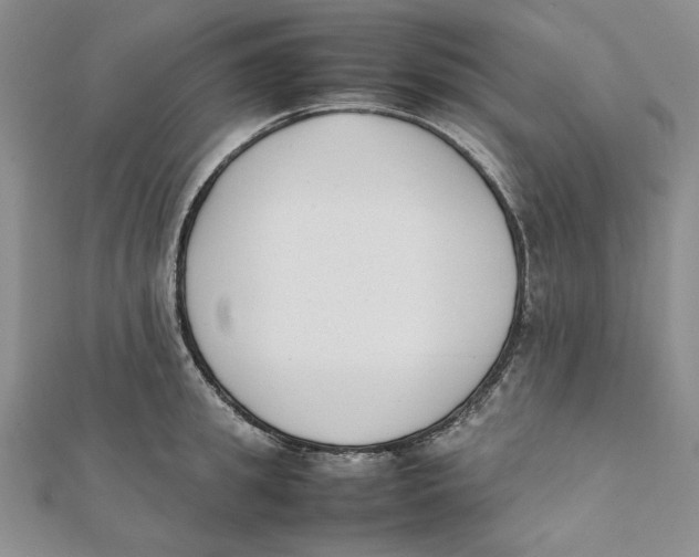 X0000112050949200909010939