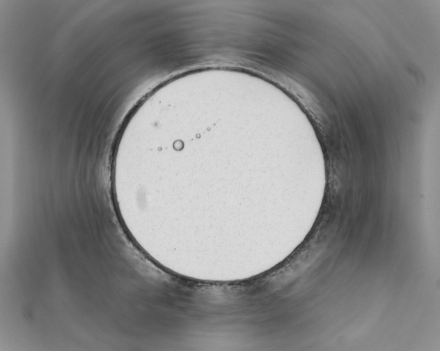 X0000112050950200909010939