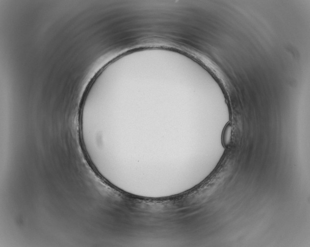 X0000112050951200909010939