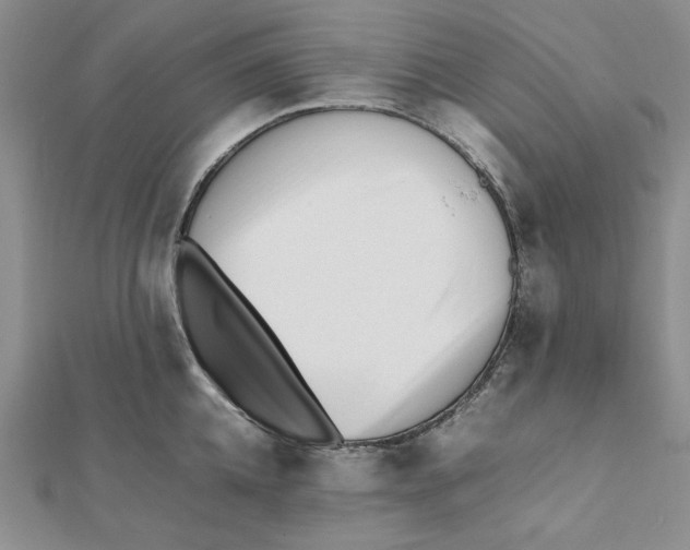 X0000112050952200909010939