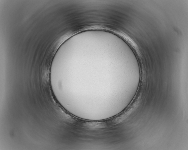 X0000112050953200909010939