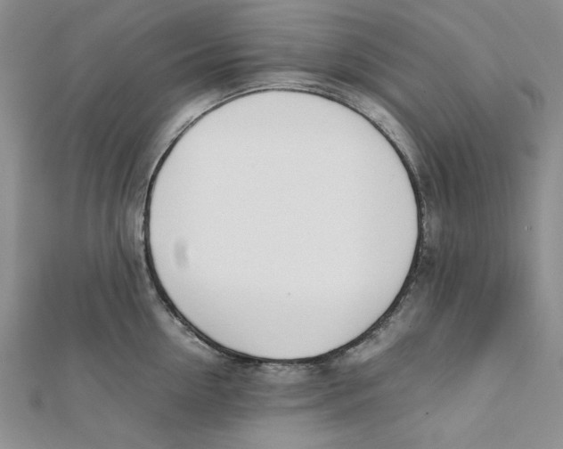 X0000112050954200909010939
