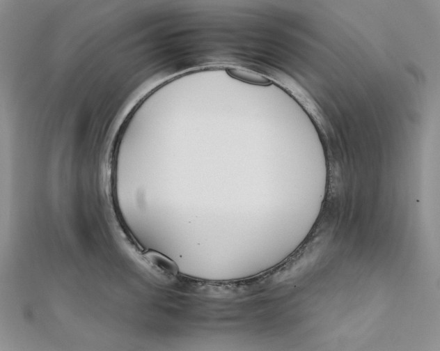 X0000112050955200909010939