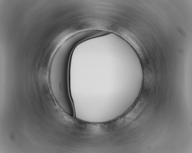 X0000112050956200909010939