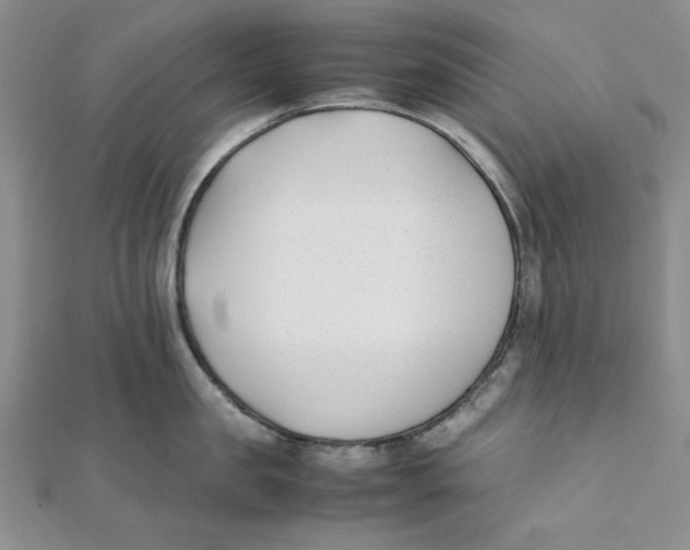 X0000112050957200909010940