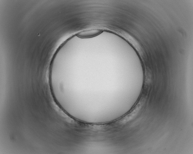 X0000112050958200909010940