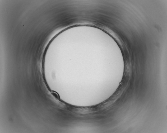 X0000112050959200909010940
