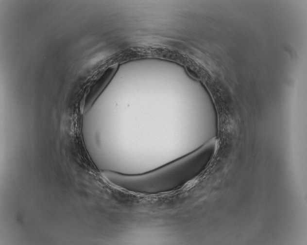 X0000112050965200909010939