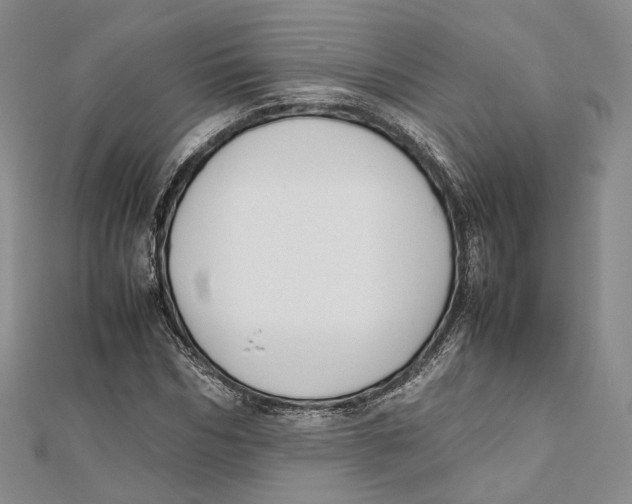 X0000112050970200909010939
