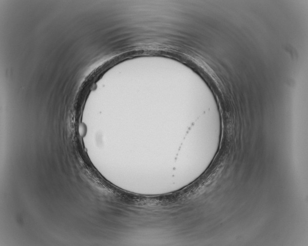 X0000112050971200909010939