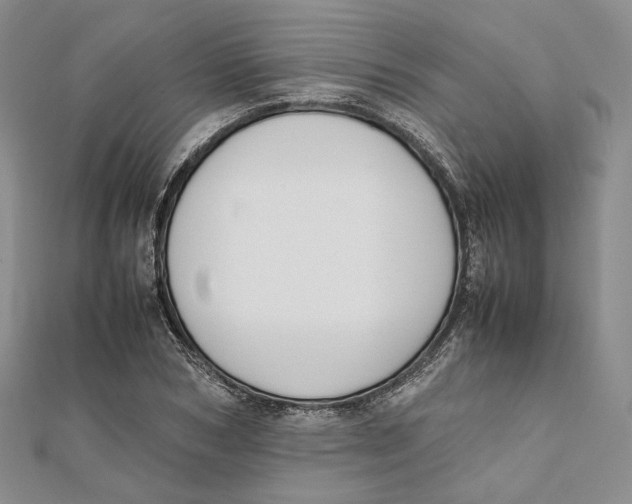 X0000112050978200909010939