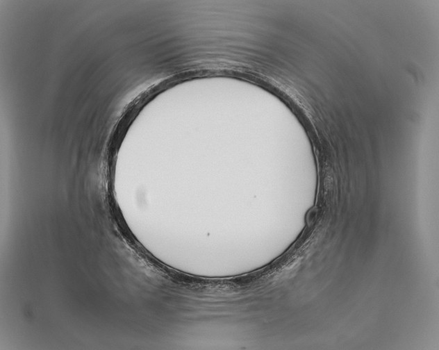X0000112050979200909010939