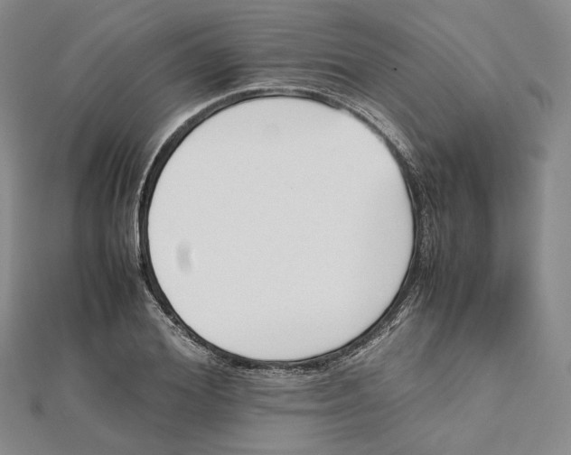 X0000112050980200909010939