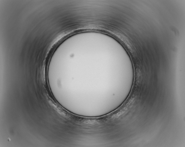 X0000112050982200909010939
