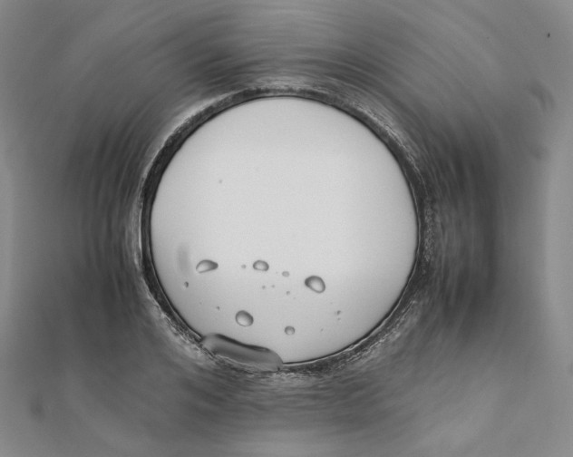 X0000112050984200909010939