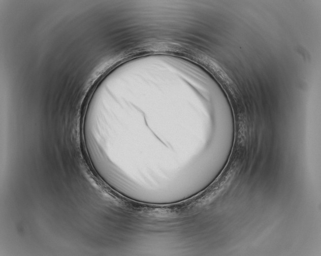 X0000112050986200909010939