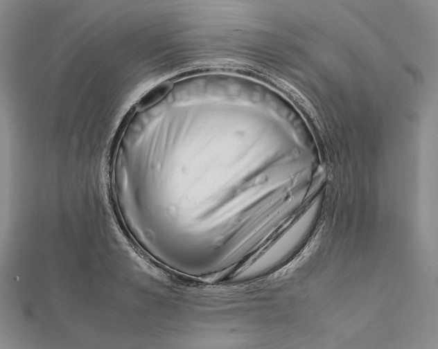 X0000112050989200909010939