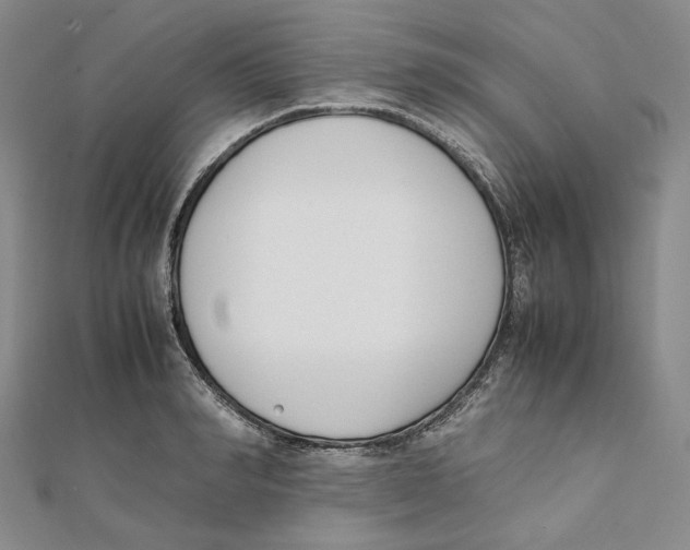 X0000112050990200909010939