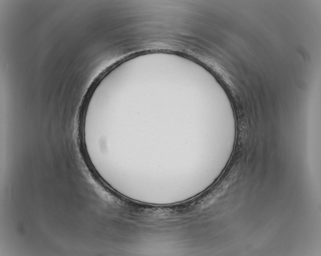 X0000112050991200909010939
