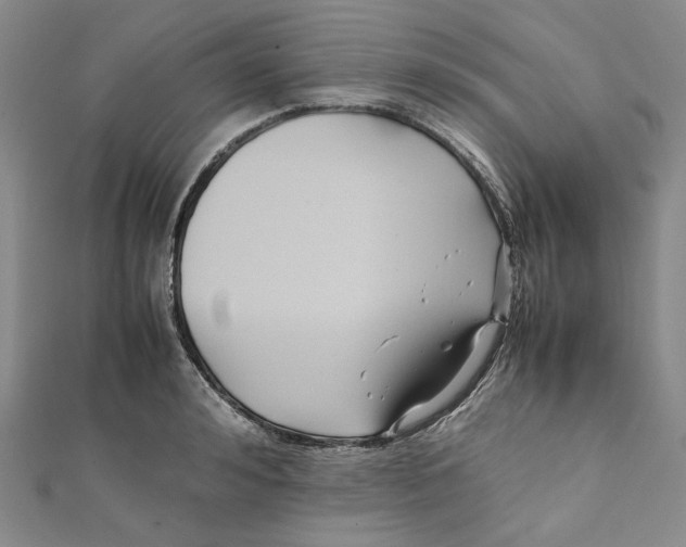 X0000112050992200909010939