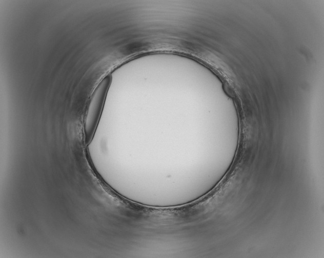 X0000112050993200909010939