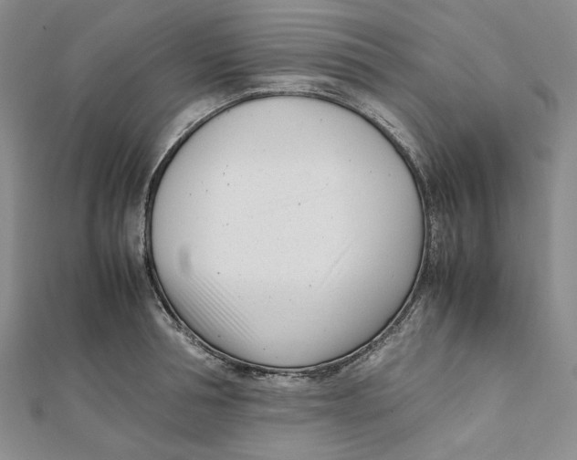 X0000112050994200909010939