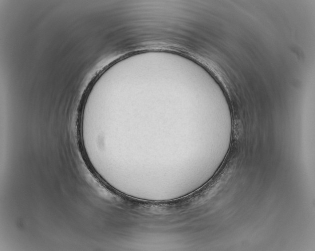X0000112050995200909010939