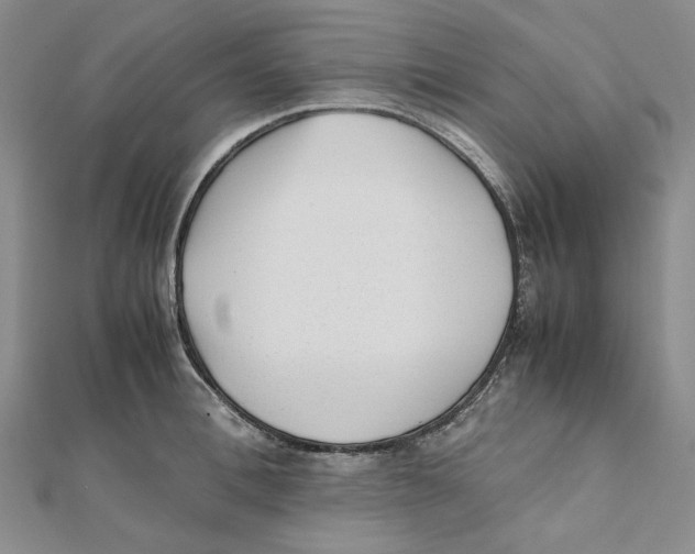 X0000112050996200909010938