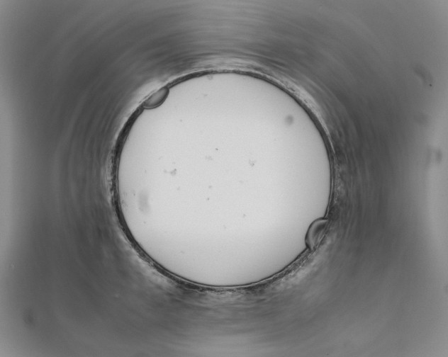 X0000112050997200909010938