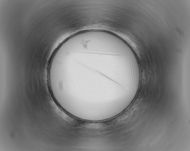 X0000112050998200909010938