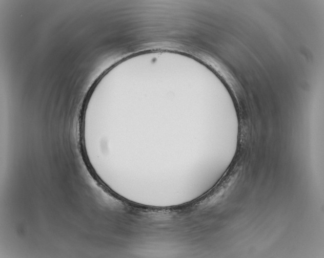 X0000112050999200909010938